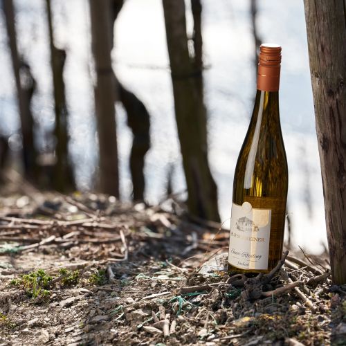 Eine Flasche H P Schreiner Saar Riesling steht auf trockenem Boden im Weinberg