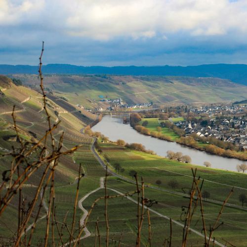 Fluss und Weinberge mit Dorf im Tal bei bewölktem Himmel und Bergen im Hintergrund